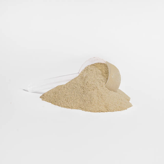 Plant Power Protein (Vanilla)
